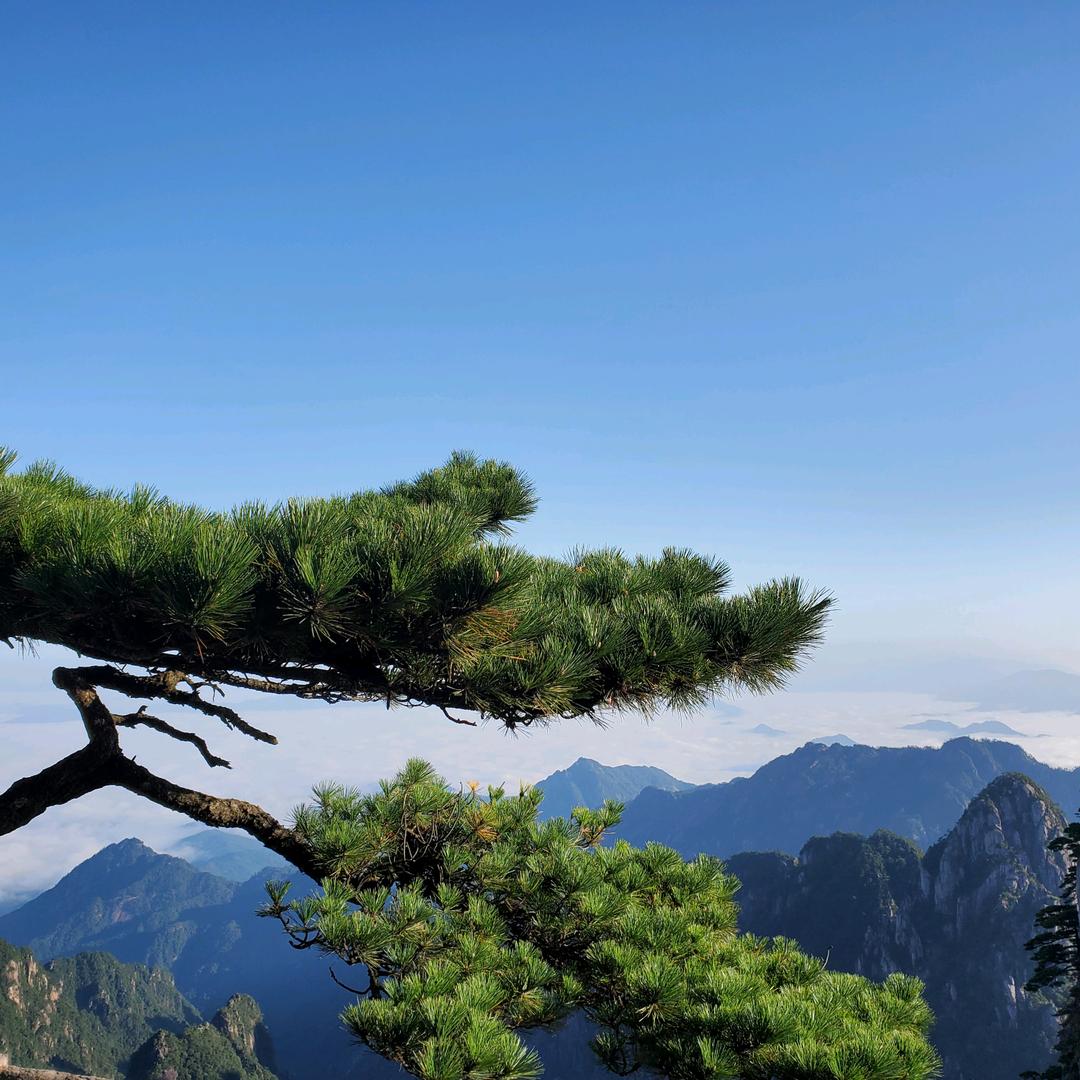 晴空万李、