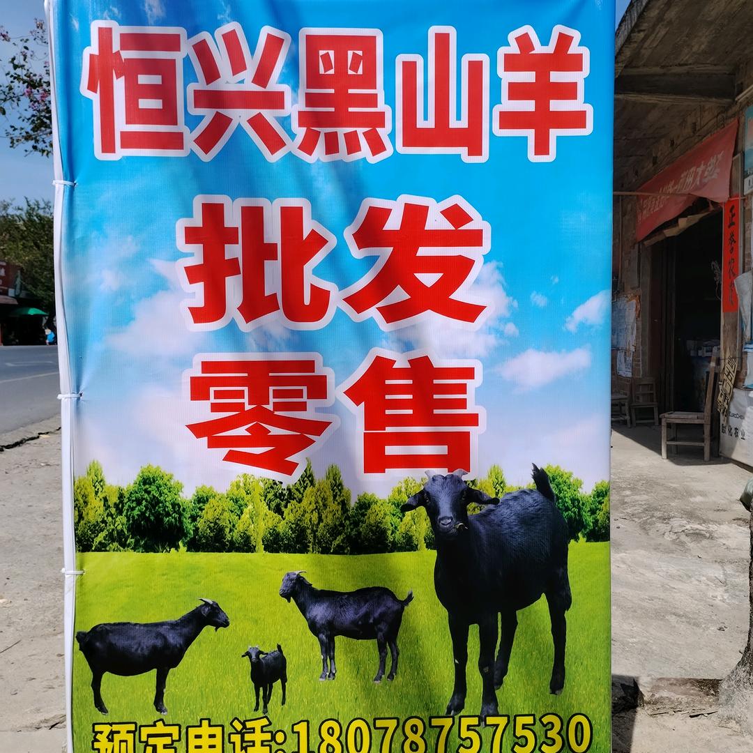 玉林恒兴羊业批发部