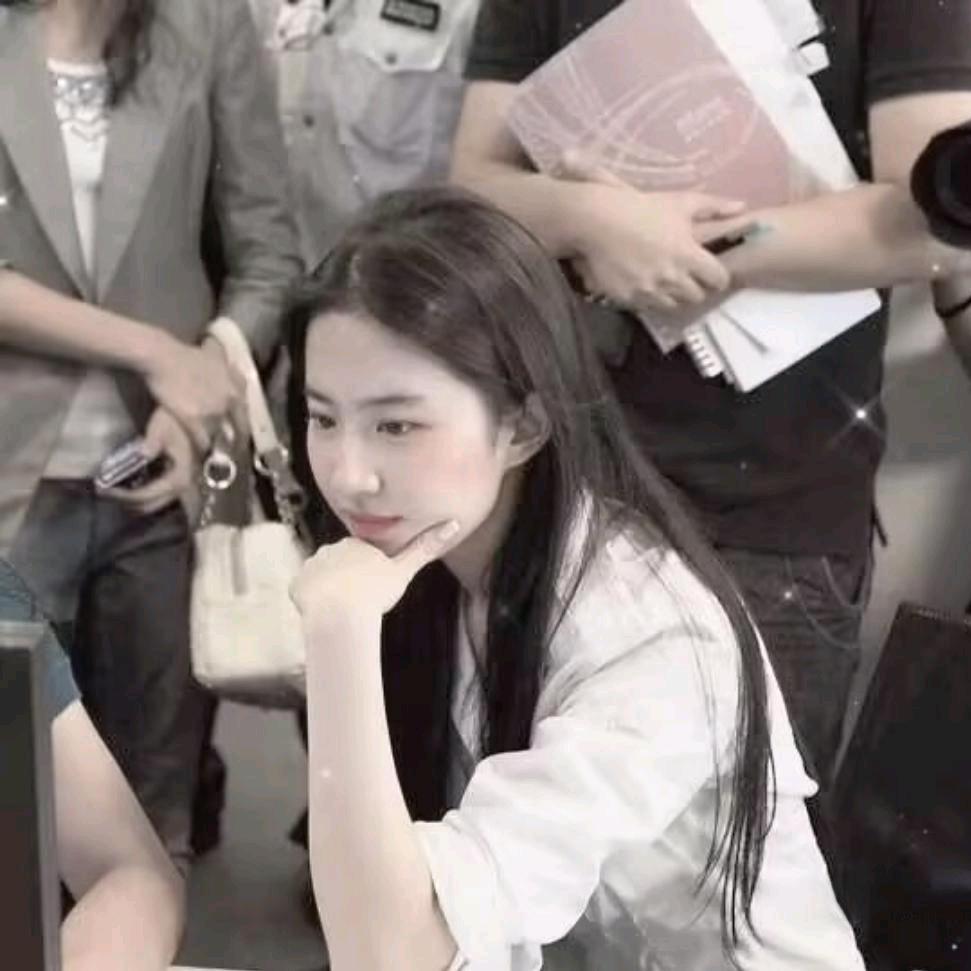 一枝李李子.