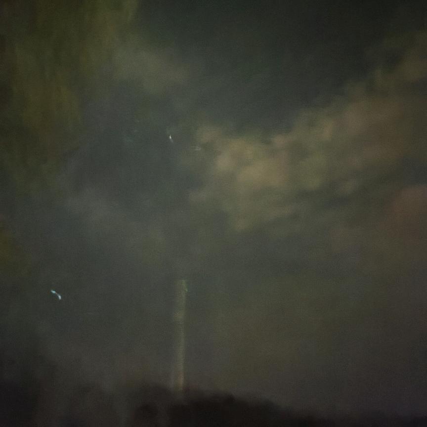 石鸭子头像