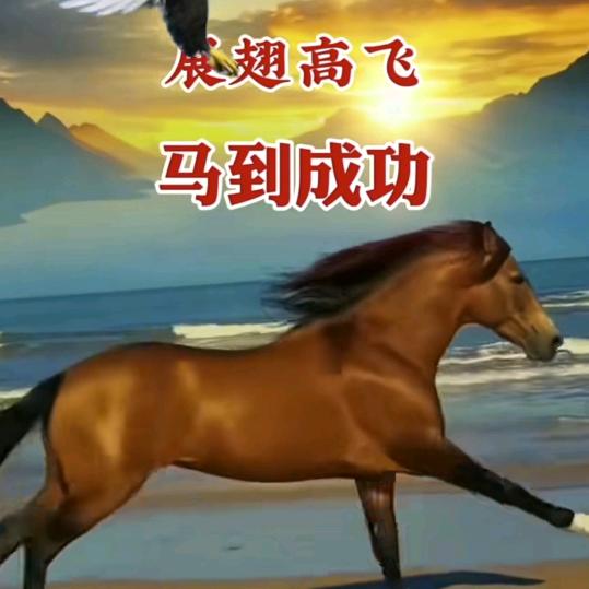 有缘千里来相会。