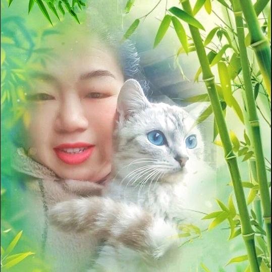 千🌟里🌟光🌟