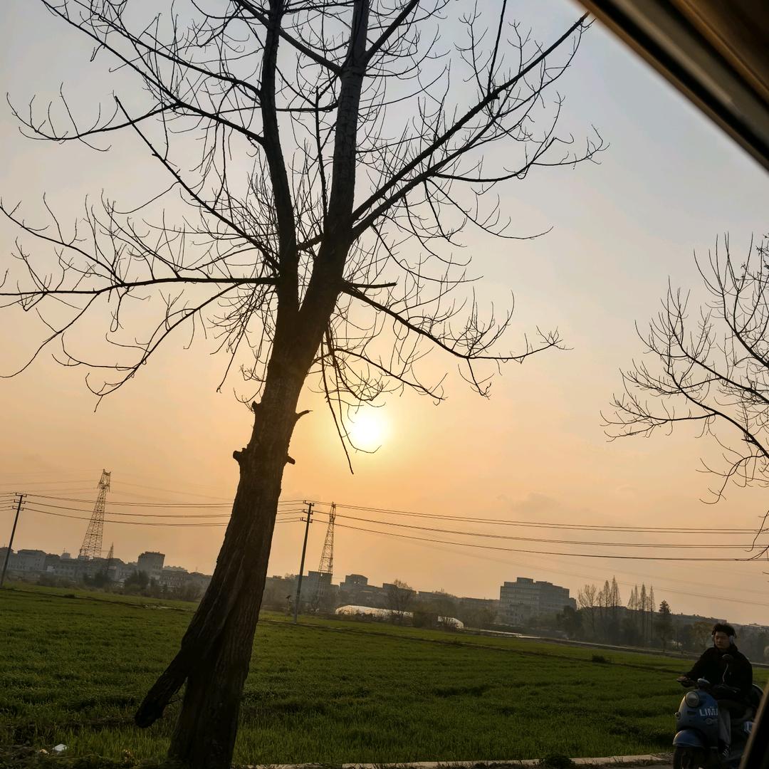 寻找真爱