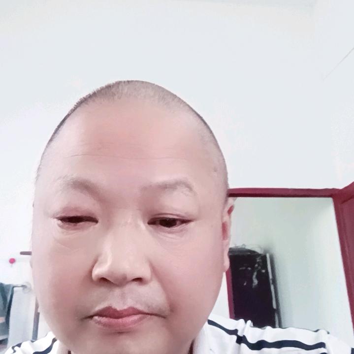老贺1