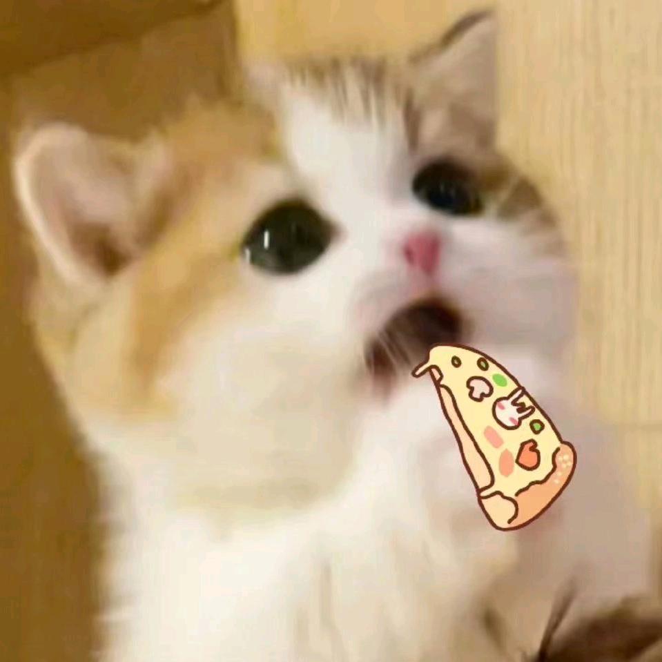 偷鱼吃的猫