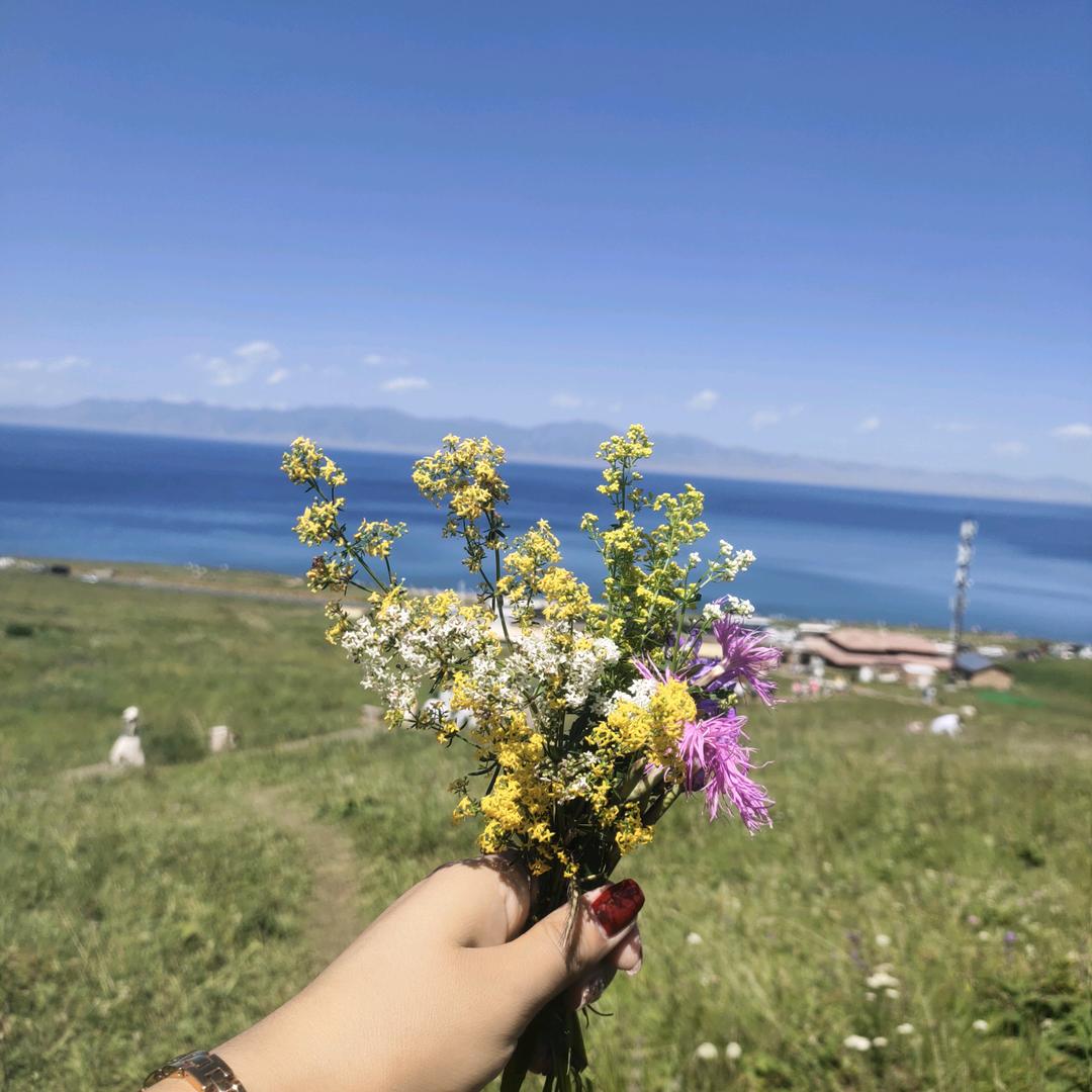 伪笑ღ