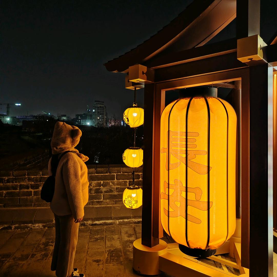 我来人间凑凑数