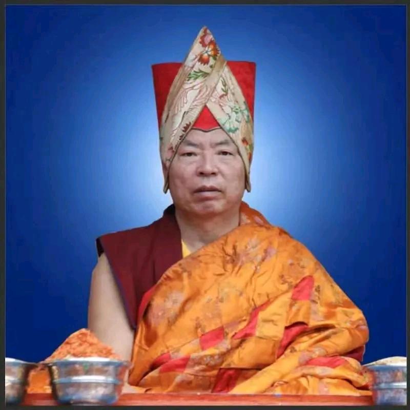 达👑平