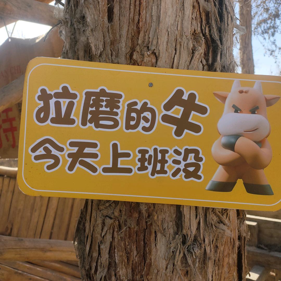 💕꧔ꦿ᭄顶峰࿆ྃ相见࿐