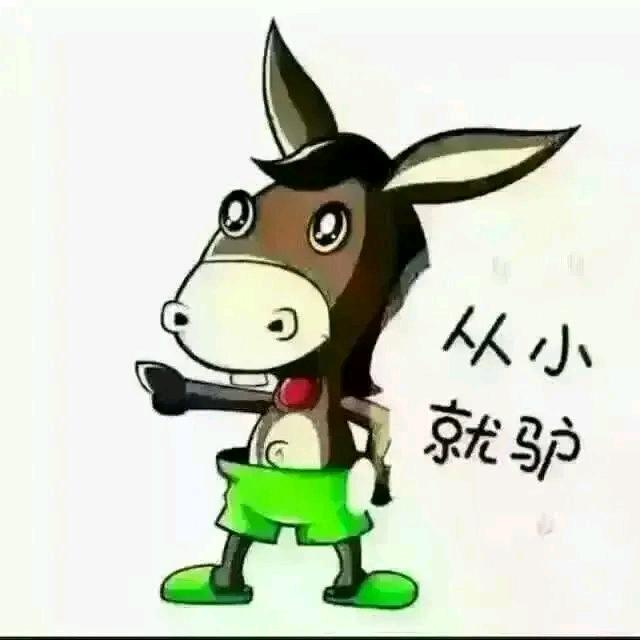 爱吃烤鸭的鸽子