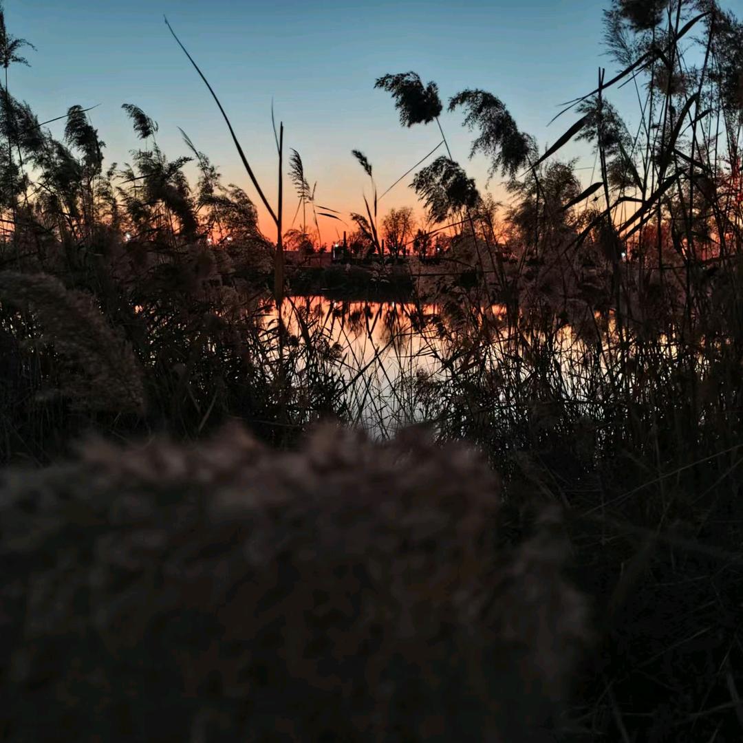 浅笑