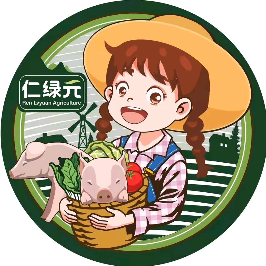 圆胖子