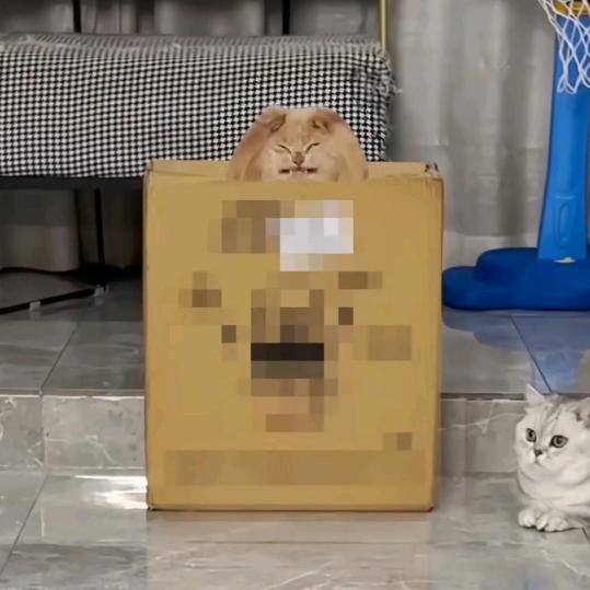 啊凡