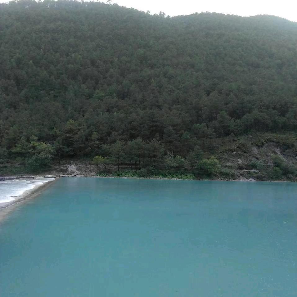 惜日的情人！独断情天。