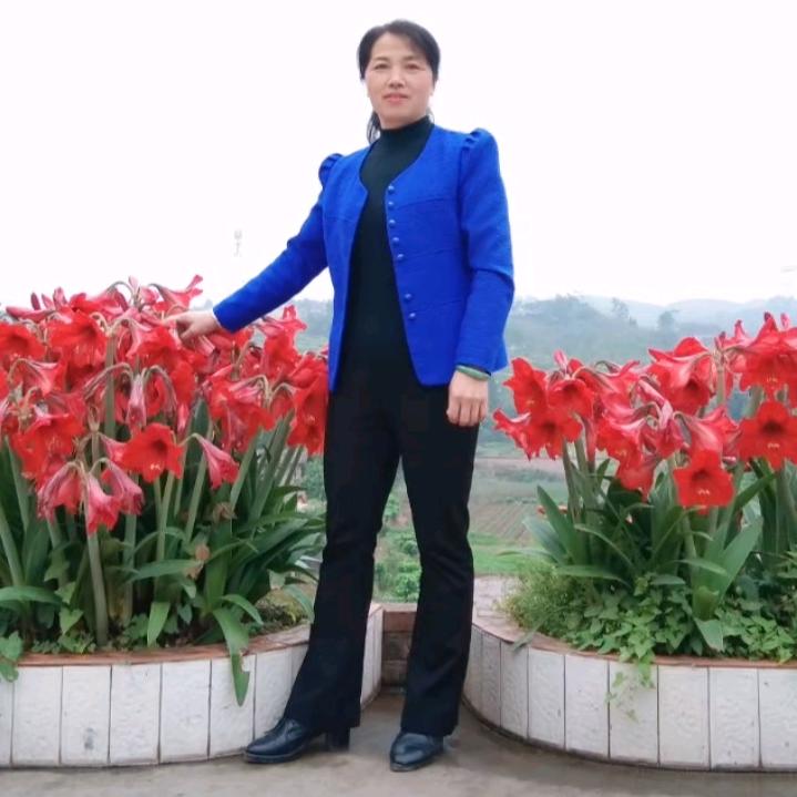 @专业养蚕