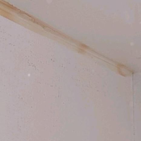 鼬鄒齺花.-