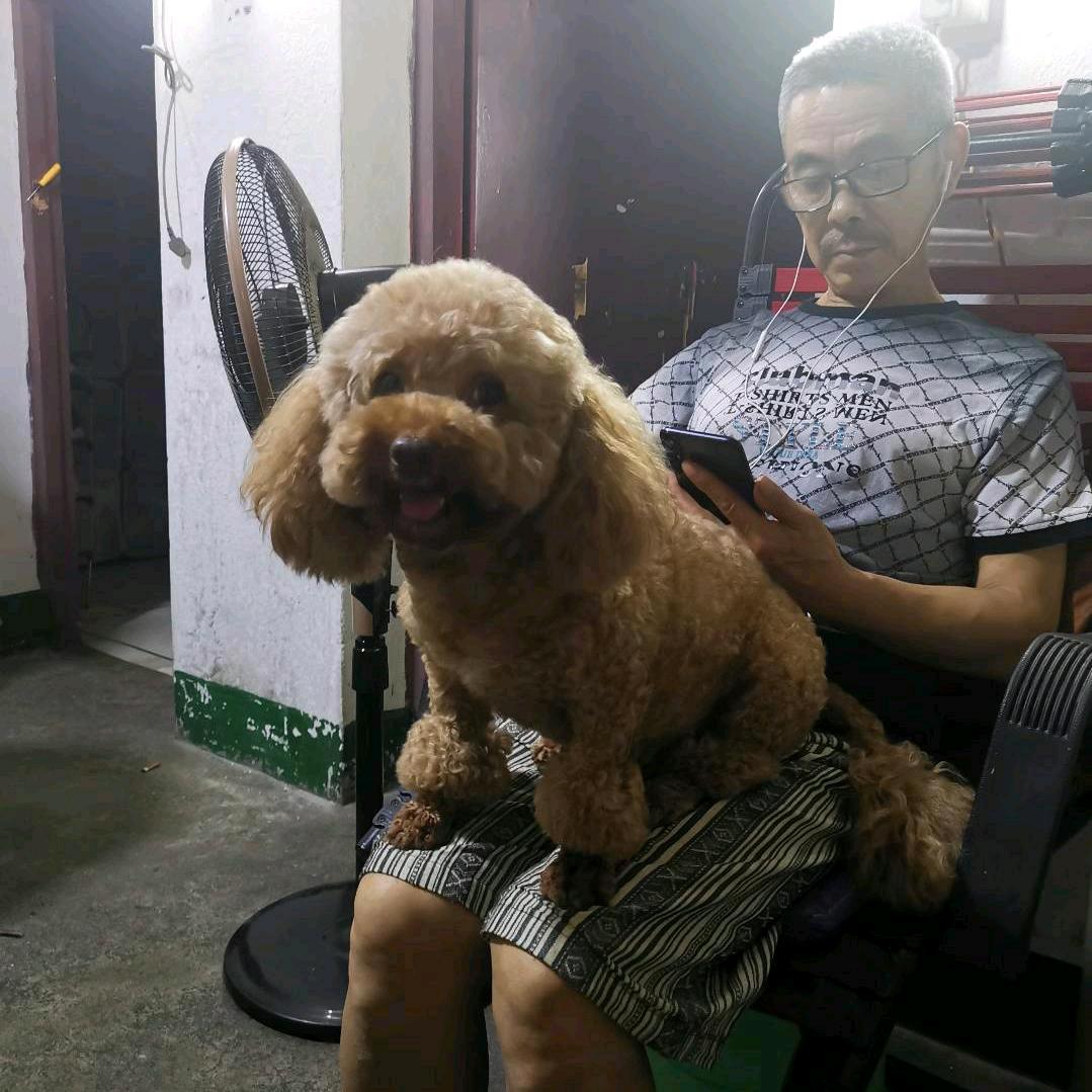 爱狗老头