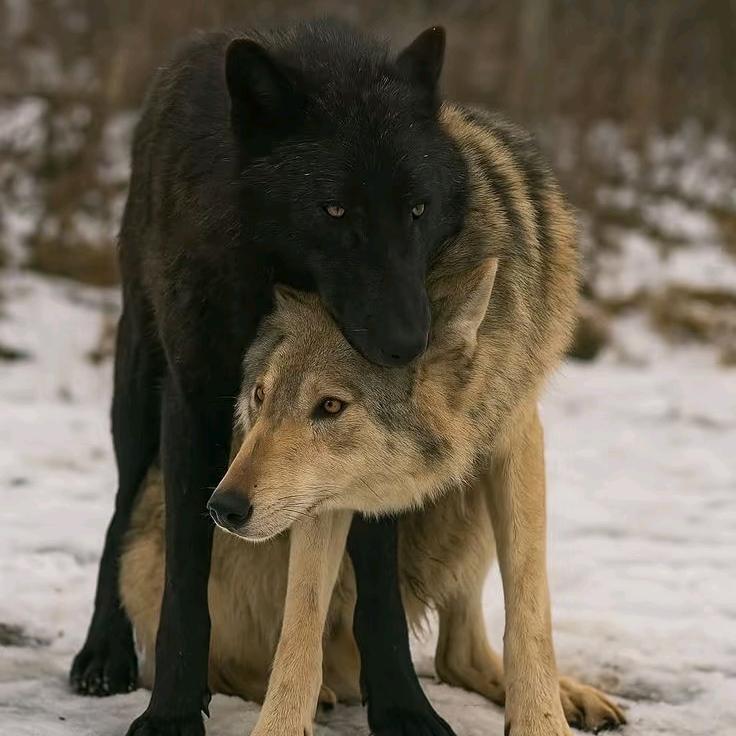 荒野——破而后立