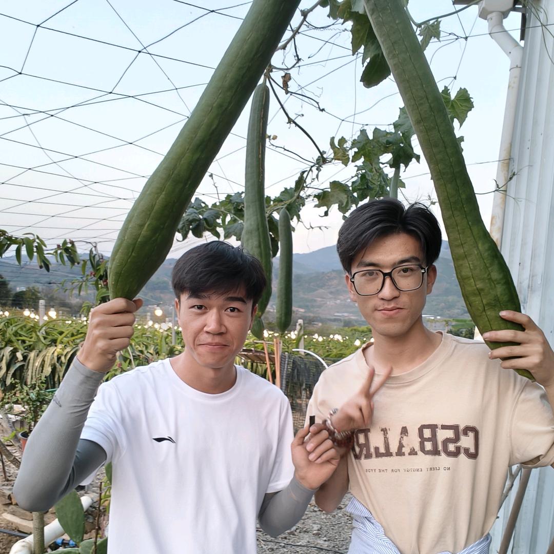 邓X泡