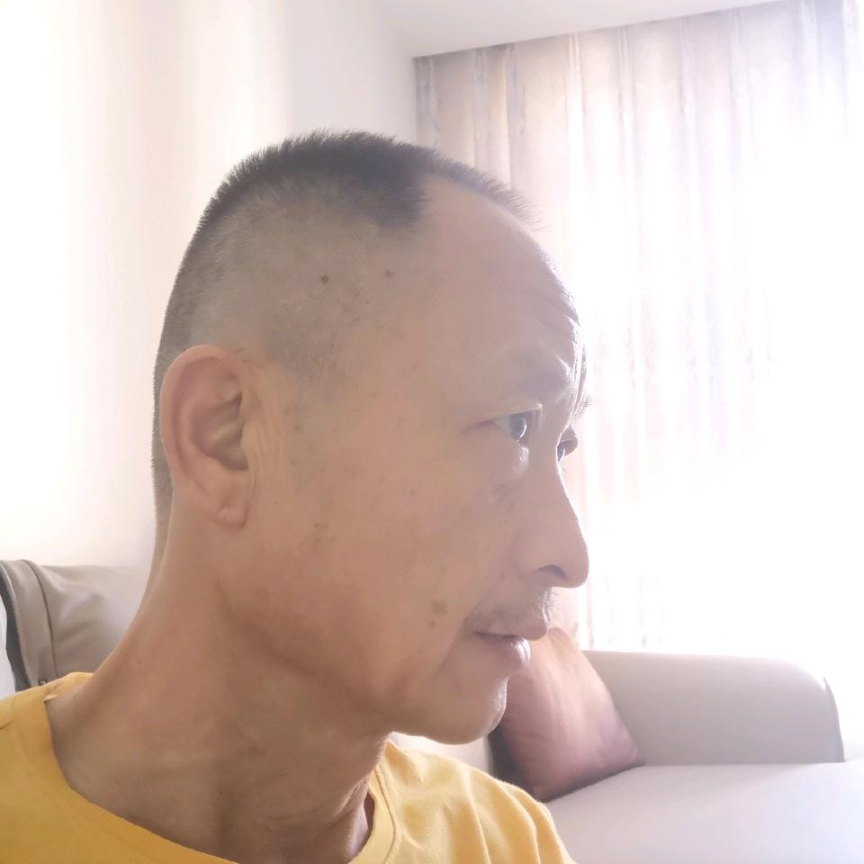 大象