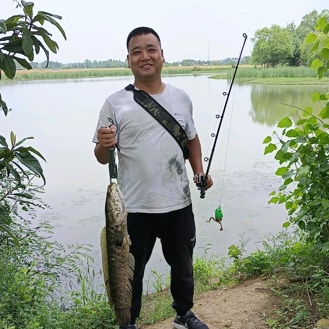 何大胆（钓鱼探子）