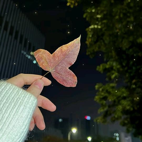 💔ꦿ໊余生᭄🕊随心᭄ꦿᩚ云南黄二妹