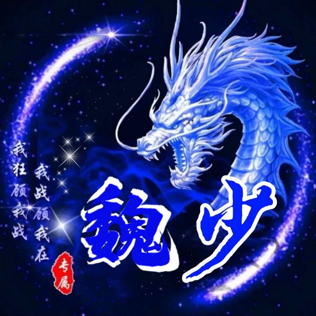 酷炫魏少