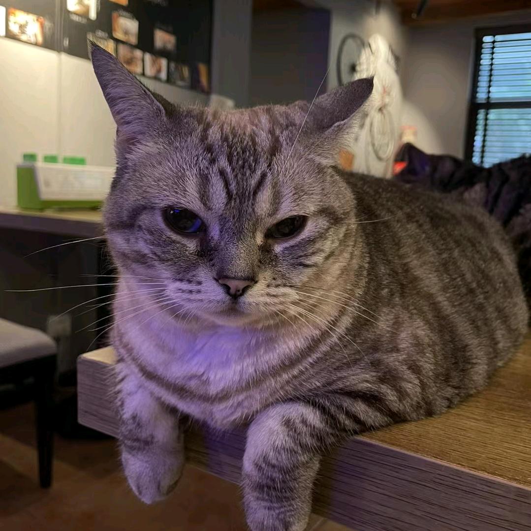 O_Y