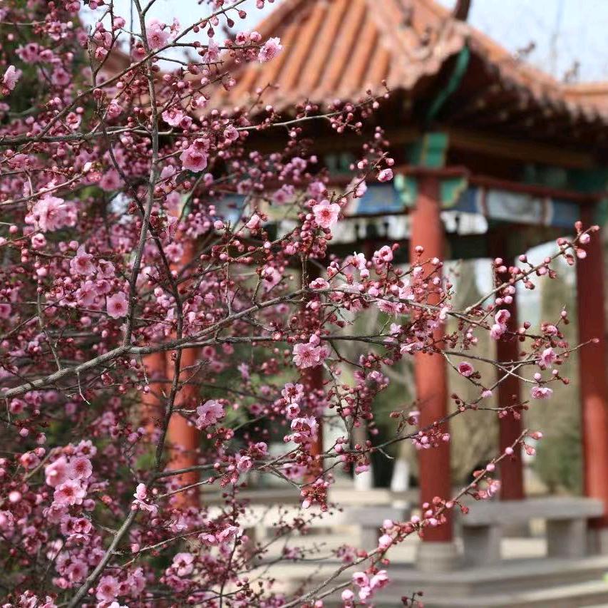 山东升学规划专业选择分析