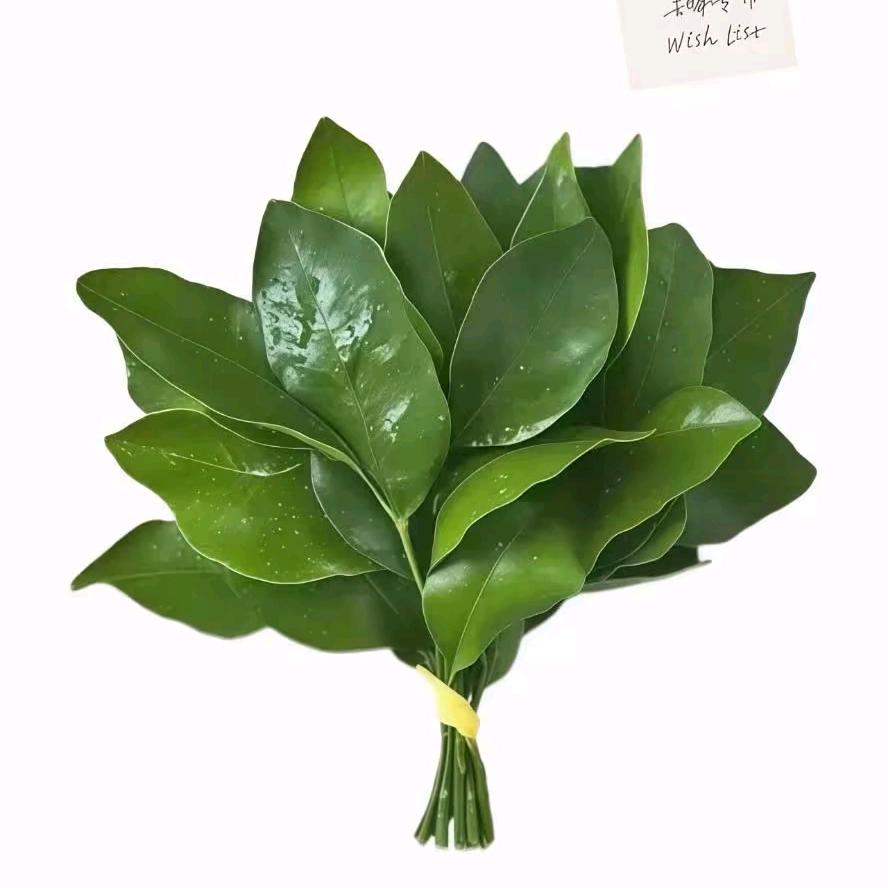 八~宝-粥💚💚💚