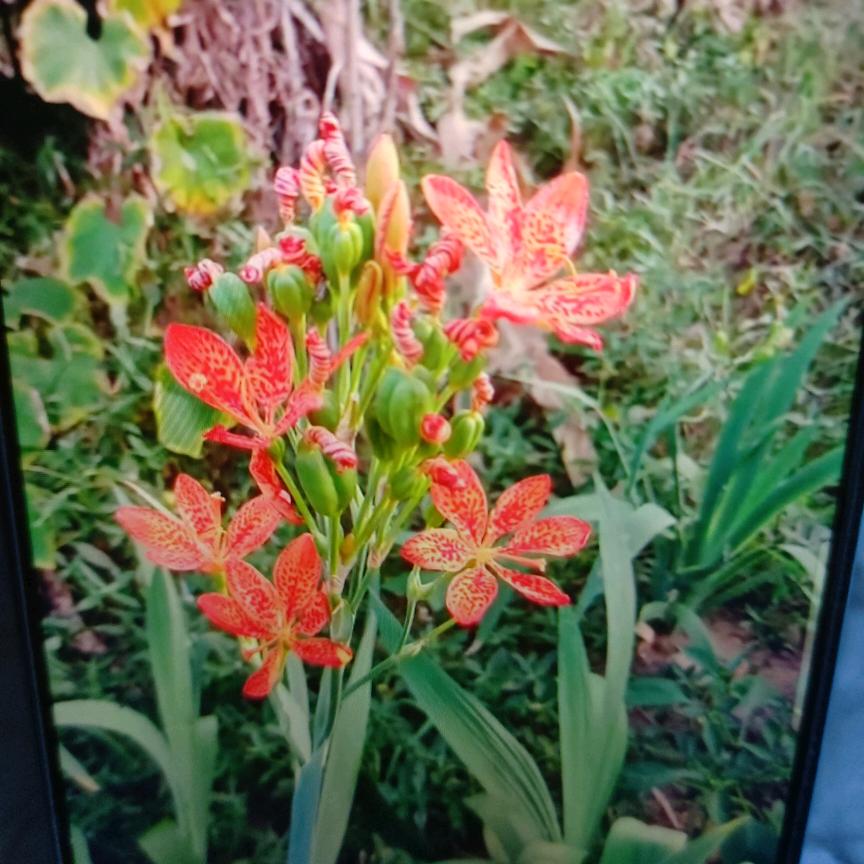 辛苦每一天
