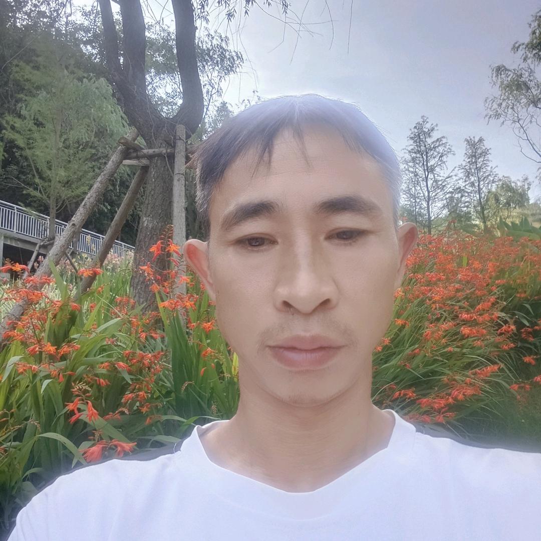 ，镇雄铝模胡三哥，浪子一生情无绿