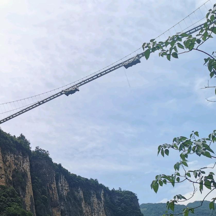 凤凰坡好物分享