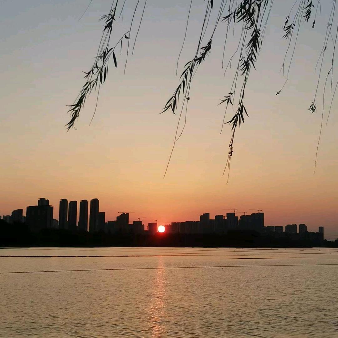 一日三餐