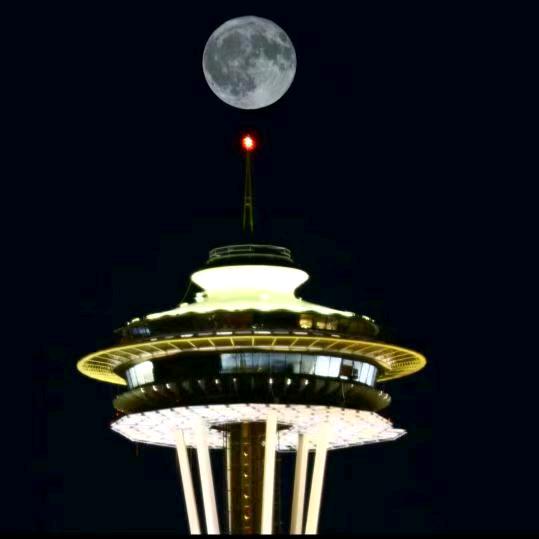 柴哥（实力派）