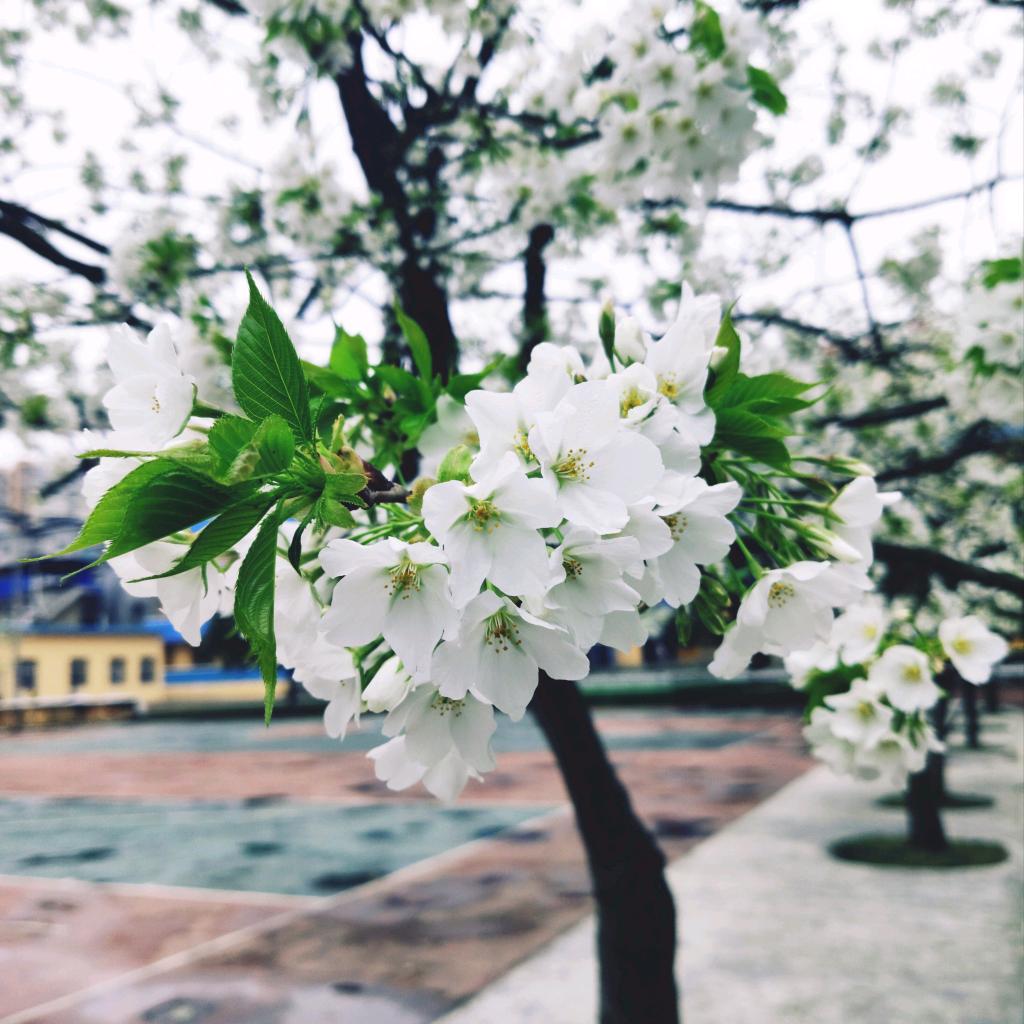 ༊凸凸🤧এ࿚ᮨ້໌⁵²0