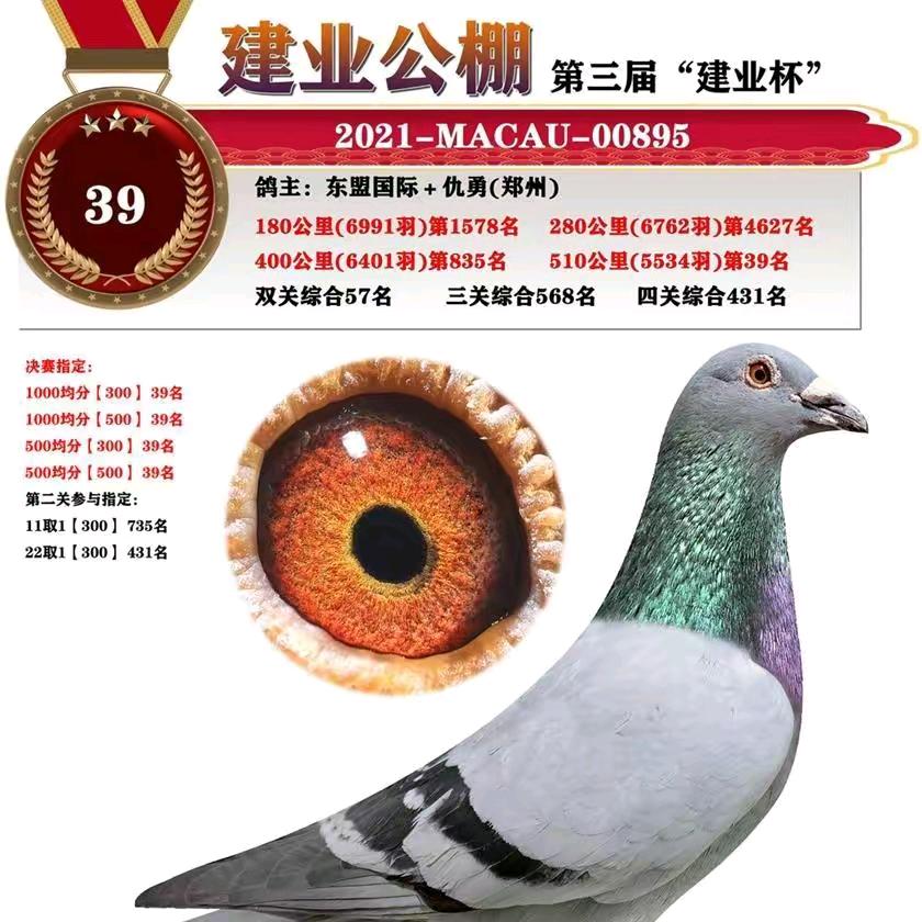 白天不董，夜的黑