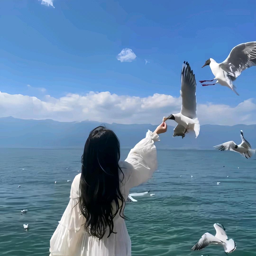 莓泥不行ʸᵃ.ʚʕ̯•͡˔•̯᷅ʔɞ