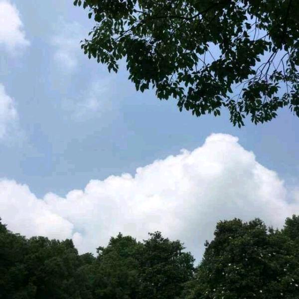 宜居房产