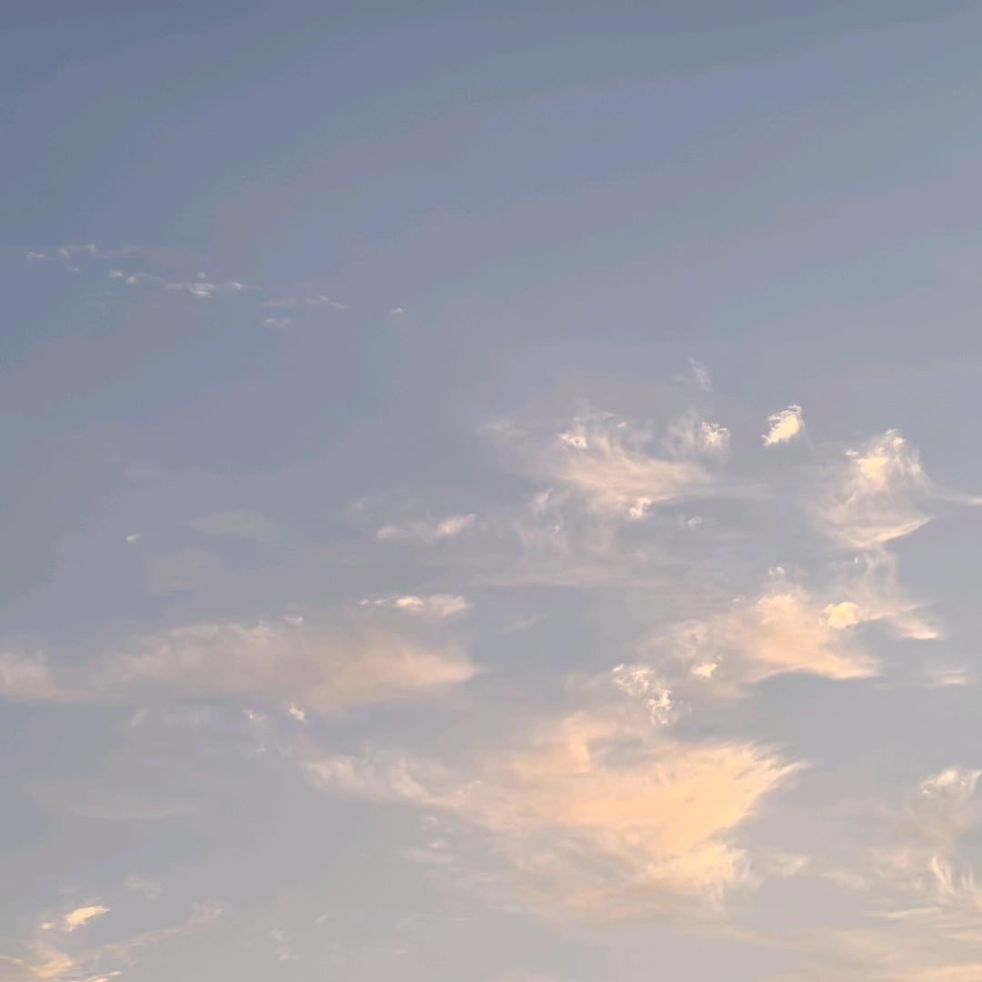 SN丶羽