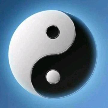 云南茶原产地批发