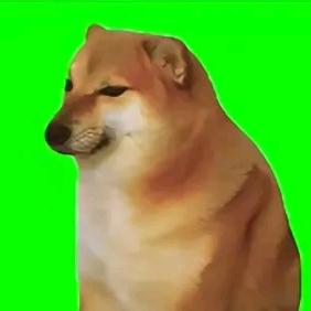 赵涝尸怎么还没S？