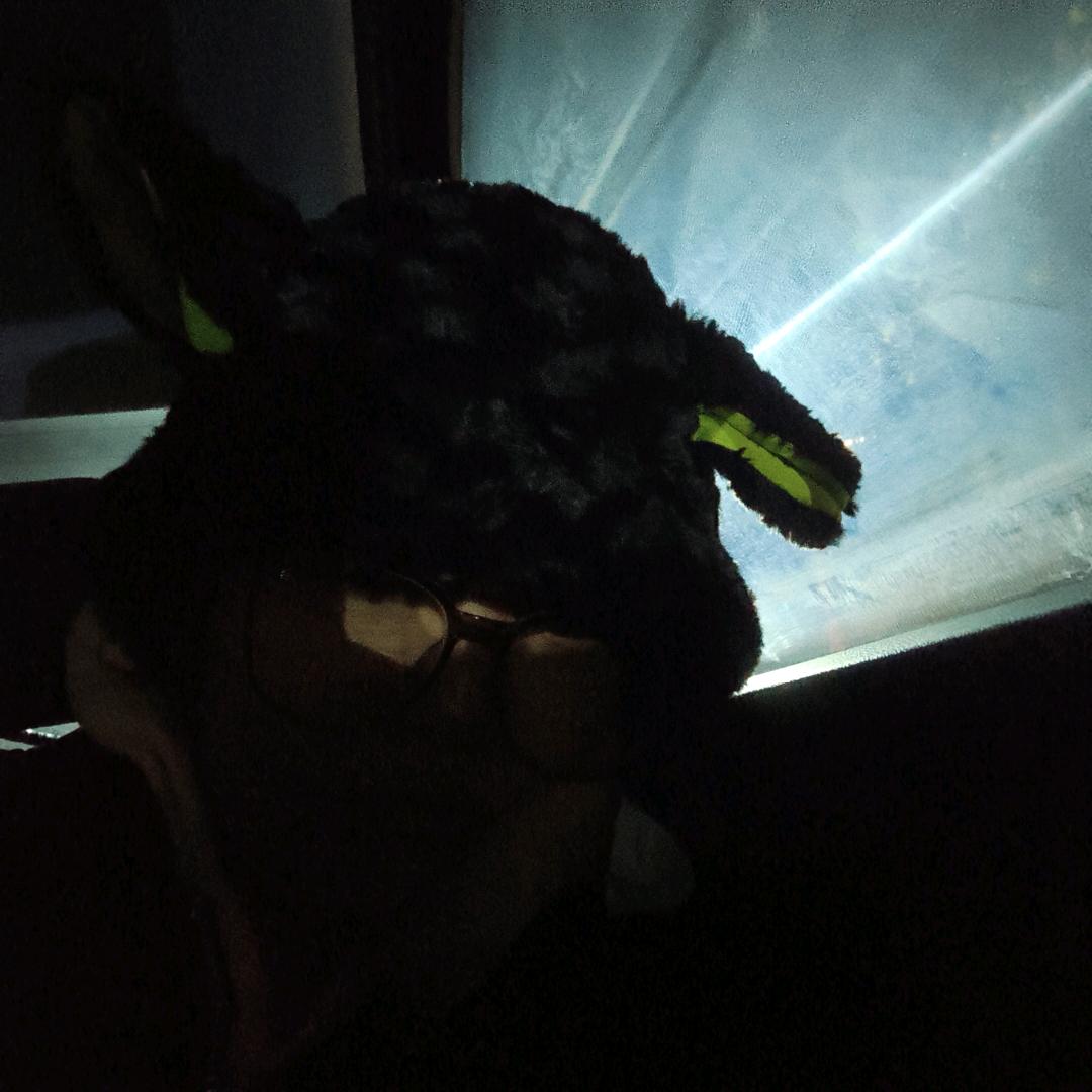 半夜去上课.