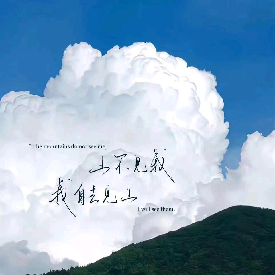 满山的猴子我腚最红🐒