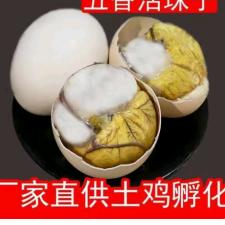 祯多鲜活珠子