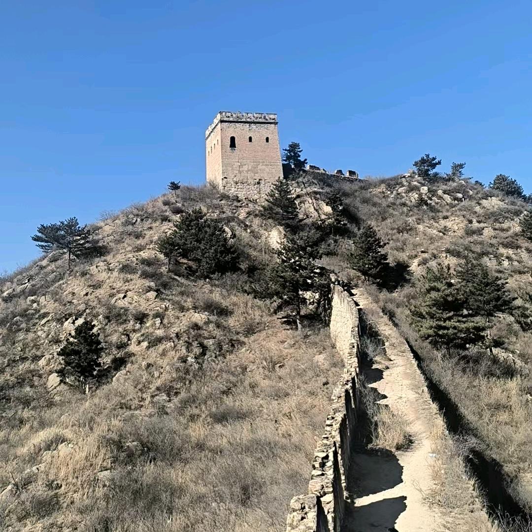 @自由自在的张先生