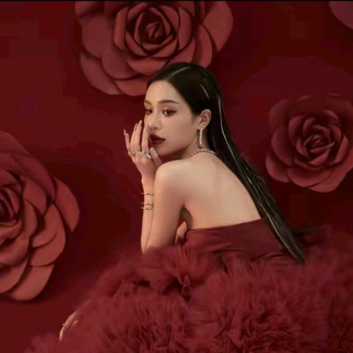 懒猫nono(直播返场)