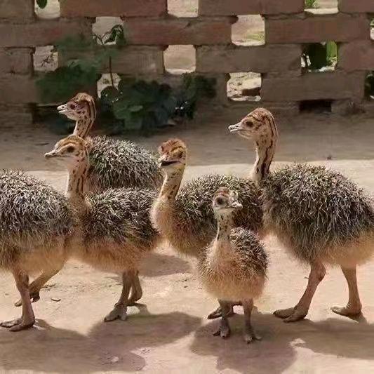 乐佳鲜荟生鲜集市(万科幸福誉店)冠桁合工作号