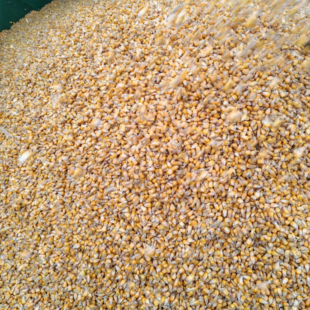 ℒℴѵℯ寒·彻ꦿ໊ོﻬ°