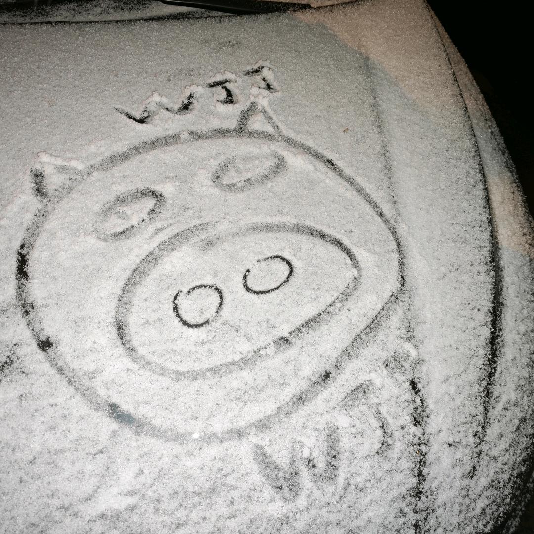 去有风的地方等你